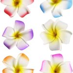 Amazon Hawaii Accessories Photo 0