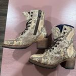 FREEBIRD by Steven Freebird Snake Cavalier Size 6 Photo 2