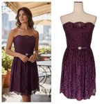 Christina Wu Lace Strapless Formal Dress Purple Size 12 Photo 1