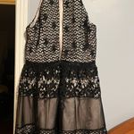 Minuet Black Lace Dress Photo 3