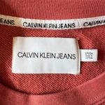 Calvin Klein Terracotta Crew Neck Sweater Photo 3