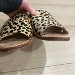 Loeffler Randall  Hannele Open Slip On Loafer Peeptoe Calf Hair Size 7 Photo 4