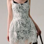 Japanese Kawaii White Lace Black Ruffle Flower Floral Two Photo 3