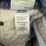 AGOLDE  Light Blue Distressed Jean Shorts Photo 12