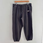 Aerie  x Wicked Big Chill Jogger Smoked Grey XL Photo 4
