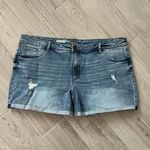 Kut From The Kloth NEW Katy boyfriend denim raw hem cuffed jean shorts new 20W Photo 1