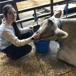 Very J  small Photo 12