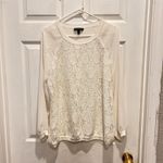 The Limited  Women's Lace Bell Sleeve Blouse‎ Top Women’s Size Large Cream Bridal Photo 7