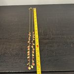 J.Crew  Elegant Gold and Orange Necklace Photo 3