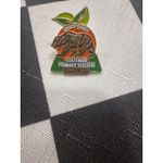 Orange County CA California Bear Statewide Primary Election Pin 2010 Gold Photo 1