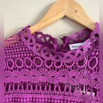 Endless Rose NWT Fuchsia Lace Peplum Mini Dress L Cocktail Wedding Photo 4