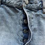 We The Free  Denim/Jean Shorts Photo 10