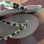 ALDO NEW Animal Print Thong Sandals Flip Flops 8.5 Brown Resortwear Beach Cruise Photo 4