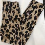Nasty Gal So Fierce Leopard Pants Size 6 Photo 1