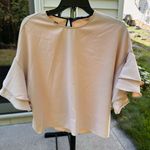 ZARA  Top Women's Blush Pink Cropped Ruffle Flutter Sleeve Photo 0