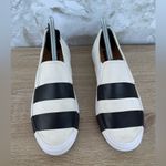 Laura Scott The Office of Angela Scott Stripe Sneakers size 7 Photo 2