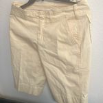 Boston Proper FINAL MARKDOWN  Bermuda shorts 6 Photo 0