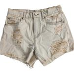 BDG Drop Waist Destory Jean Shorts Photo 0
