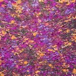 Ruby Rd BOHO‎ Orange, Pink, Purple and Green Open Front Sweater Pink Size L Photo 5