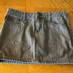 Selena Gomez Dream out loud by  grey Jean skirt Photo 0