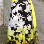 Black Poodle Skirt Size 24 Photo 2