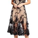 Dress the Population  Audrey Floral Appliqué Lace Dress Black and Nude Size XL Photo 0