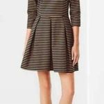 Gap Tan & Black Oxford Striped Fit and Flare Dress Size 2 Photo 0