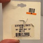 Birthstone Brats Grad Brat Jet Charm Genuine Austrian Crystal Pendant Graduation Gold Photo 3