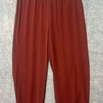 Eileen Fisher Women's Size XS Straight Ankle pants 100% Silk Photo 0