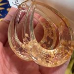 Francesca’s Acrylic Resin Dried Floral Flower Tear Drop Earrings Photo 1