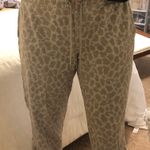 Target  Colsie Cheetah Print Sweatpants Photo 0