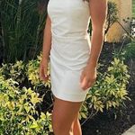 Susana Monaco Strapless Tube Mini Dress in Sugar Size X-Small Photo 2