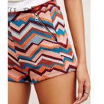 Free People  Dloyd High Rise Shorts Size 0 Photo 0