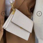 JW Pei  Flag Bag in Ivory Lizard  Photo 4
