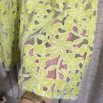 ASOS Sheer Floral Trapeze Mini Dress Photo 2