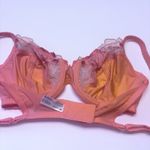 Wacoal 855237 In Bloom Full Figure Underwire Bra Size 34C Mahogany Rose NEW Photo 7