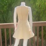 L'ATISTE L’atiste by Amy, Ivory Rose Print Sleeveless Skater Dress. Size XS. Photo 4