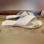 Seychelles  Leather Sandals Photo 1