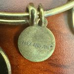 ALEX AND ANI  Aunt Charm‎ Bangle Bracelet Gold Tone American Flag Energy Photo 7