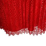 Aritzia Little Moon Red Floral Lace Pleated Midi Skirt Size Photo 6