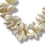 Free People  Katie Leather Shell Choker NWT Layered Necklace Beach Bohemian Surf Photo 6