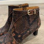 Joie  Rawly Snakeskin-Embossed Leather Ankle Boots Photo 4