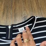 Gap  Black and White Striped Tank Top Photo 2