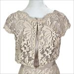 Tadashi Shoji Greta Lace Cocktail Dress in Sand Beige Size 8 Photo 6