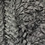 YA Los Angeles Black Strapless Maxi Dress Ruffled Bust Lined Sheer Skirt by S-M Photo 5