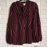 love on a hanger  peasant style striped‎ chevron blouse plus size 2 Photo 0