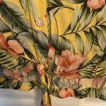 American Eagle Outfitters Cropped Shirt Photo 2