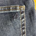 DL1961  Women's Indigo Skinny Jeans‎ Photo 10