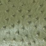 Elegant Green ostrich style Handbag Photo 3