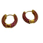 Gorgeous‎ Gold and Pink Huggie Earrings Photo 1